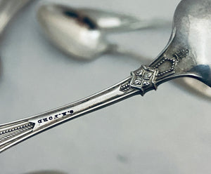 Rare set of 12 American Sterling Teaspoons, Indian pattern, Whiting, 1874