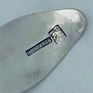 Pair of Irish Provincial Tablespoons, Cork, Terry and Williams