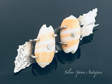 Load image into Gallery viewer, Colonial Australian shell and sterling brooch, F.Basse, Adelaide, c.1890