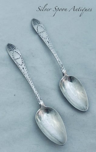 Pair of Irish Provincial Bright-Cut Teaspoons, Terry & Williams, Cork, 1807-1821