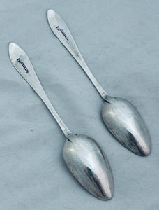 Pair of Irish Provincial Bright-Cut Teaspoons, Terry & Williams, Cork, 1807-1821
