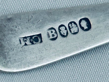 Load image into Gallery viewer, Georgian Irish silver salt spoon, Charles Marsh, Dublin, 1822