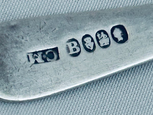 Georgian Irish silver salt spoon, Charles Marsh, Dublin, 1822