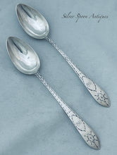 Load image into Gallery viewer, Pair of Irish Provincial Teaspoons, IW, c.1780-1800
