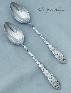 Pair of Irish Provincial Teaspoons, IW, c.1780-1800