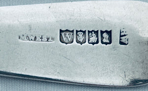 Large Georgian Irish Caddy Spoon, Richard Whitford, Dublin, 1817