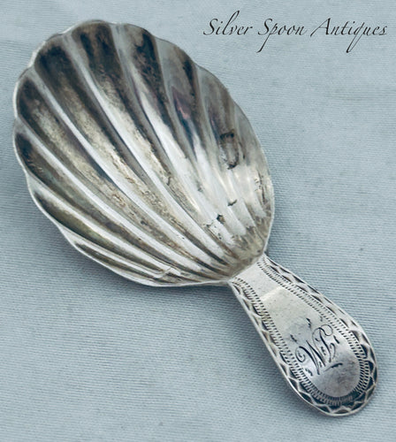 English Georgian silver Caddy Spoon, London, 1791