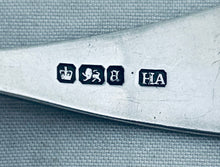 Load image into Gallery viewer, English Sterling Sifter Spoon, Atkin Brothers, Sheffield, 1893